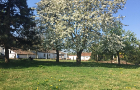 Huis te koop in meer met 4 slaapkamers