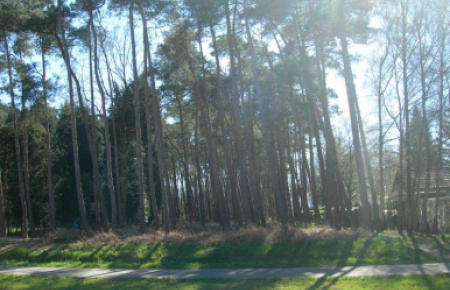 Bouwgrond te koop in stekene