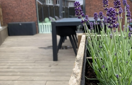 Huis te koop in lier met 3 slaapkamers